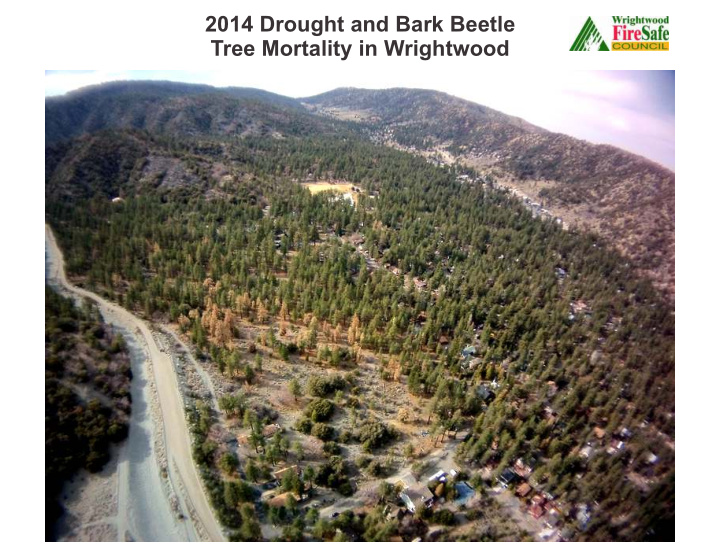 2014 drought and bark beetle tree mortality in wrightwood