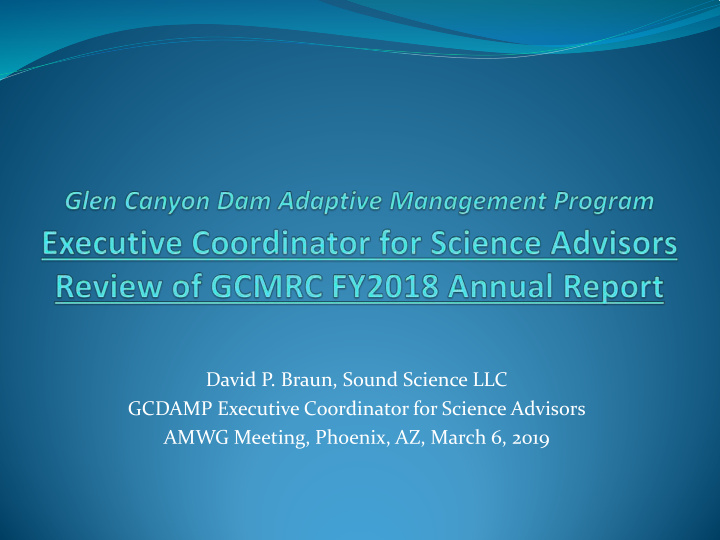 david p braun sound science llc gcdamp executive