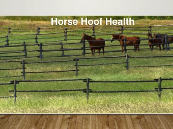 Horse Hoof Health  THREE  VECTORS  FOR HORSE  HOOF HEALTH  JANE BURROWS, DPT, HPCS THREE  VECTORS