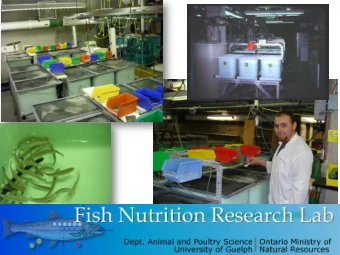 In existence since 1969 (S.J. Slinger &amp; C.Y. Cho)  Historically regarded as a key fish