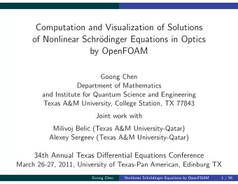 Computation and Visualization of Solutions  of Nonlinear Schr  odinger Equations in Optics  by