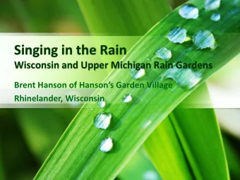 Singing in the Rain  Wisconsin and Upper Michigan Rain Gardens  Brent Hanson of Hansons Garden
