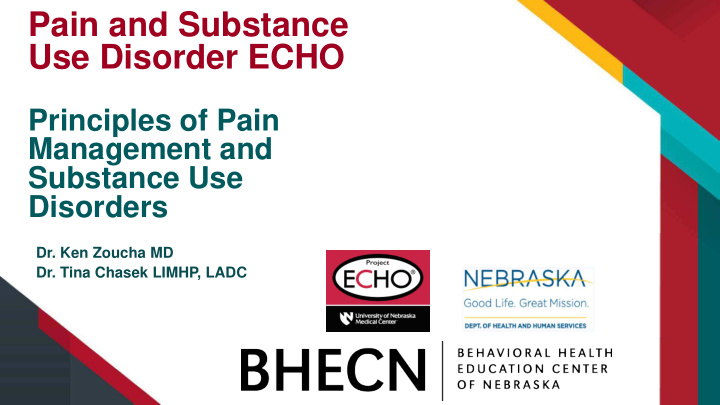 pain and substance use disorder echo