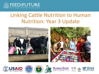 Linking Cattle Nutrition to Human  Nutrition: Year 3 Update  OVERALL PROJECT OBJECTIVE    To