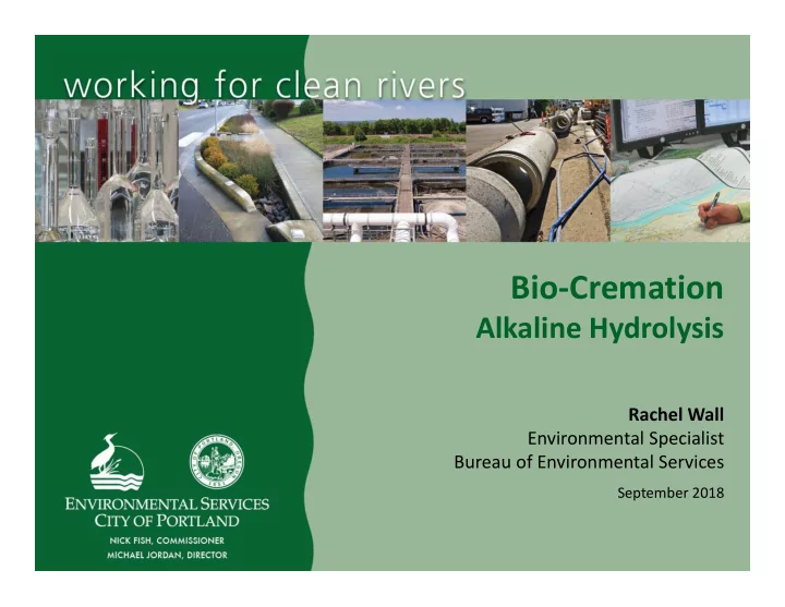 bio cremation
