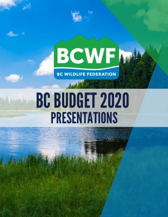 BC BUDGET 2020 PRESENT A TIONS BCWF Region 5 Cariboo President Ken Last Quesnel, June 19, 2019
