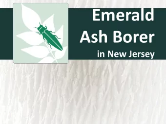 Ash Borer  in New Jersey  Emerald Ash Borer (EAB)  History of the spread  First discovered in