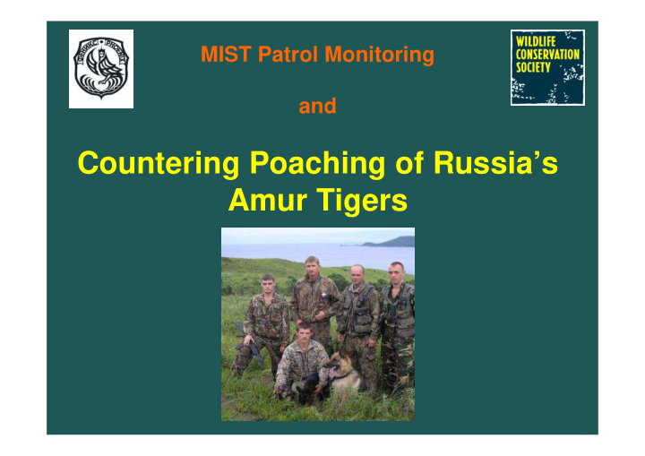 countering poaching of russia s amur tigers objectives
