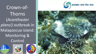 Crown-of-  Thorns ( Acanthaster planci) outbreak in  Malapascua island:  Monitoring &amp;  Control