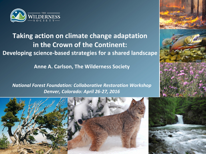 taking action on climate change adaptation