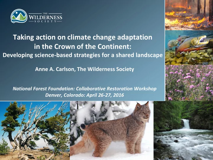 taking action on climate change adaptation