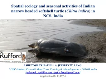 Spatial ecology and seasonal activities of Indian narrow headed softshell turtle ( Chitra indica )