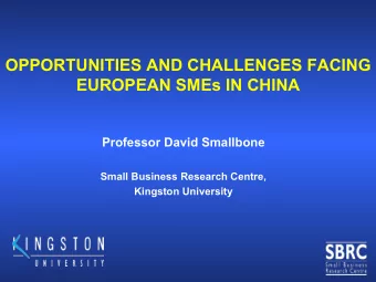 OPPORTUNITIES AND CHALLENGES FACING  EUROPEAN SMEs IN CHINA  Professor David Smallbone  Small