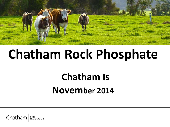 chatham rock phosphate