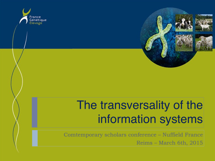 the transversality of the information systems