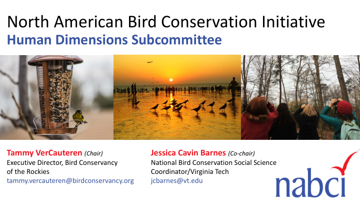 north american bird conservation initiative