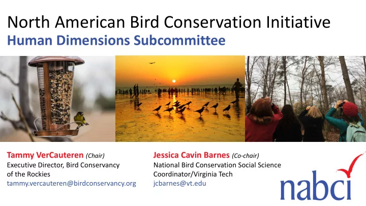 north american bird conservation initiative