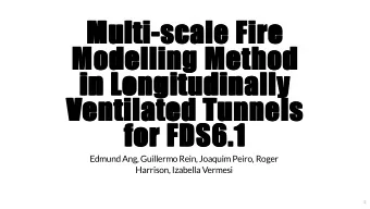 Multi-scale Fire  Multi-scale Fire  Modelling Method  Modelling Method  in Longitudinally  in