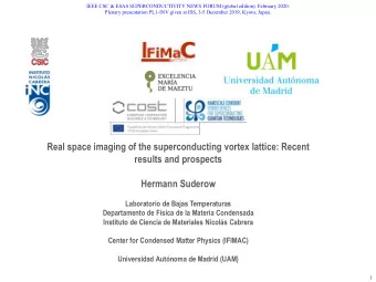 Real space imaging of the superconducting vortex lattice: Recent  results and prospects  Hermann