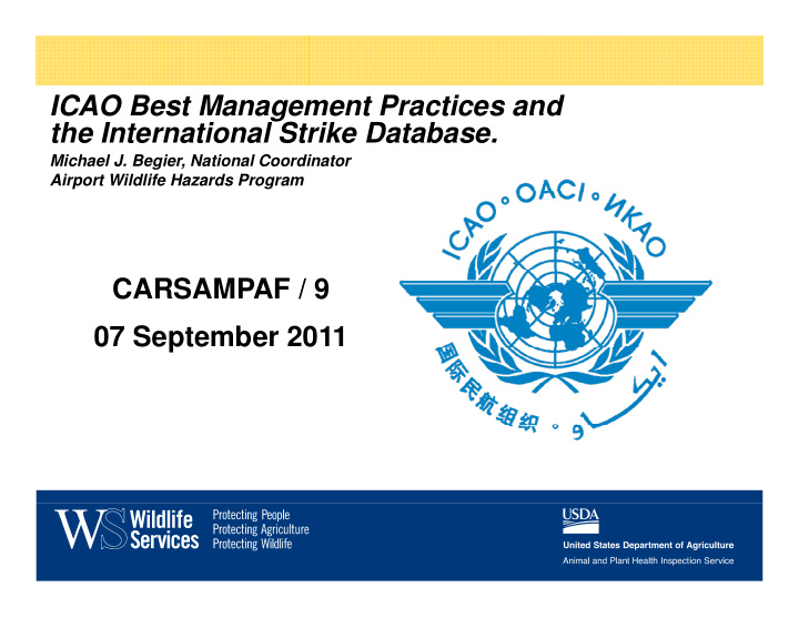 icao best management practices and icao best management