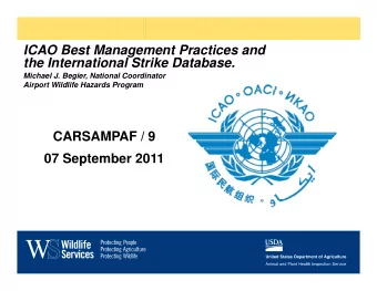 ICAO Best Management Practices and  ICAO Best Management Practices and  the International Strike