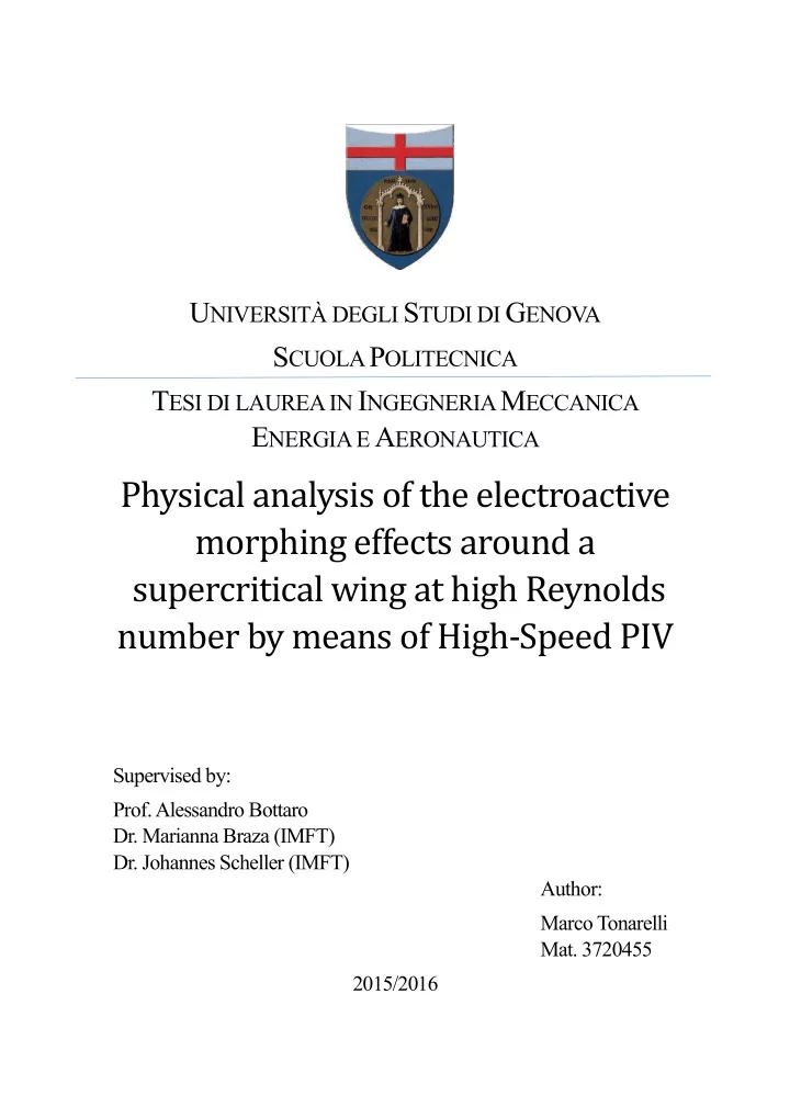 physical analysis of the electroactive morphing effects