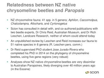 Relatedness between NZ native chrysomeline beetles and Paropsis   NZ chrysomeline fauna: 41 spp.