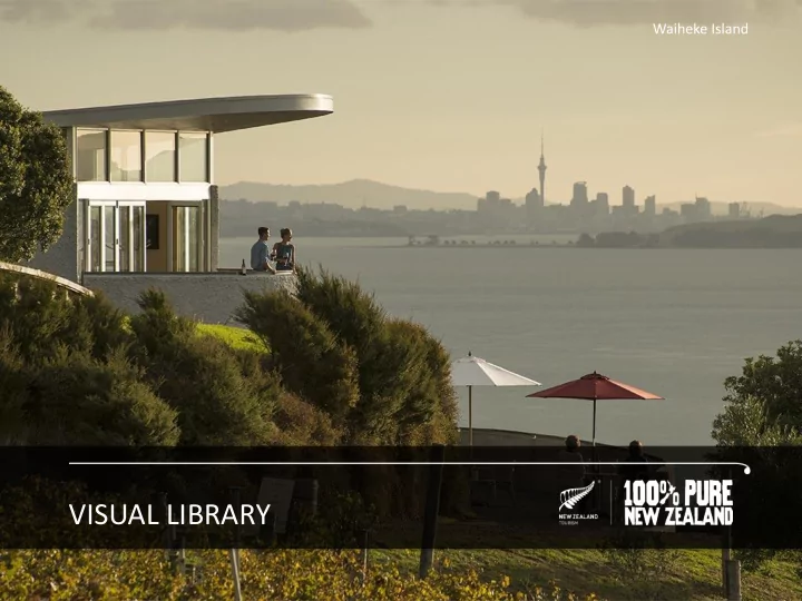 visual library the visual library