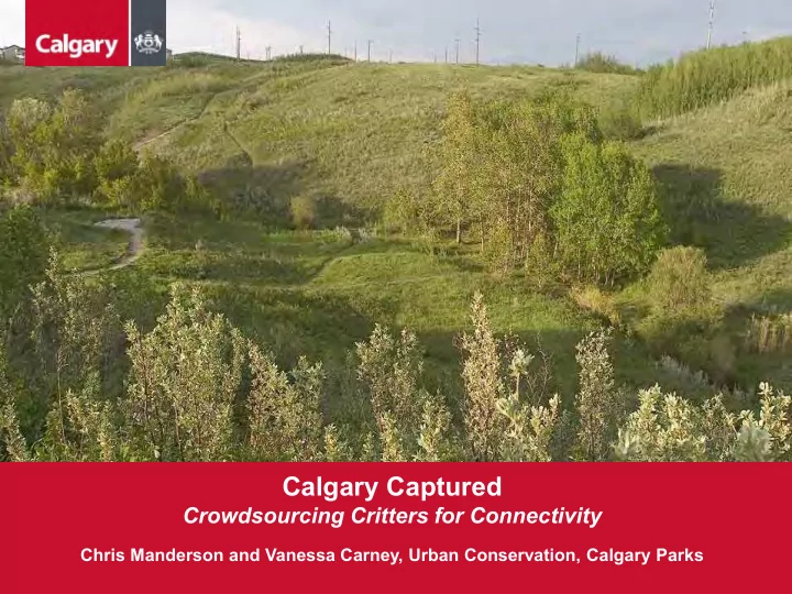 calgary captured