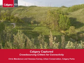 Calgary Captured  Crowdsourcing Critters for Connectivity  Chris Manderson and Vanessa Carney,