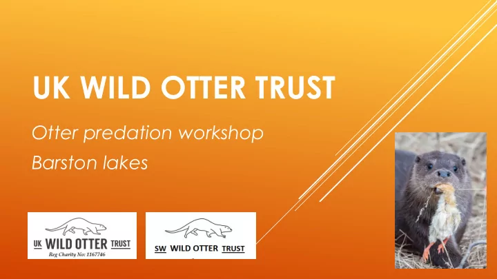 uk wild otter trust
