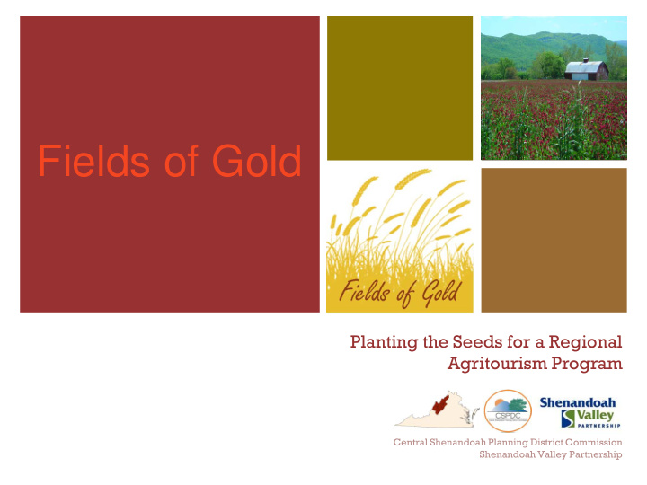 fields of gold planting the seeds for a regional