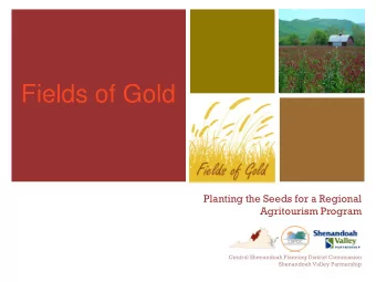+  Fields of Gold  Planting the Seeds for a Regional  Agritourism Program  Central Shenandoah