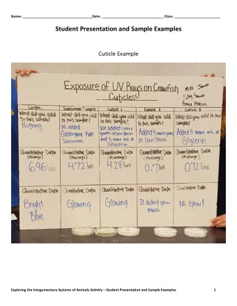 Student Presentation and Sample Examples  Cuticle Example  Exploring the Integumentary Systems of