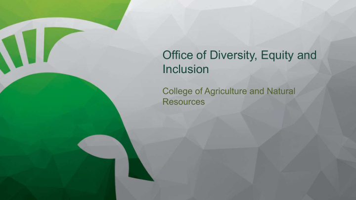 office of diversity equity and inclusion