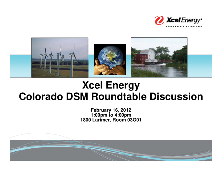 xcel energy colorado dsm roundtable discussion