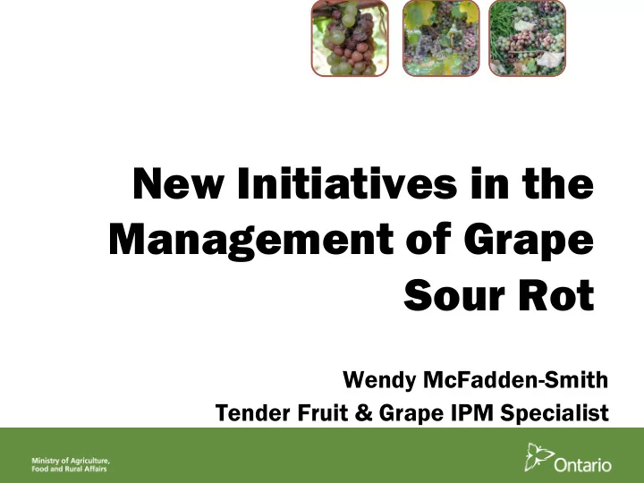 new initiatives in the management of grape sour rot