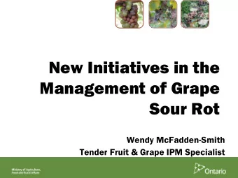 New Initiatives in the  Management of Grape  Sour Rot  Wendy McFadden-Smith  Tender Fruit &amp;