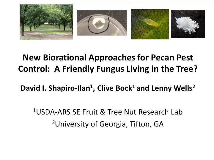 new biorational approaches for pecan pest control a