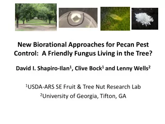 New Biorational Approaches for Pecan Pest  Control: A Friendly Fungus Living in the Tree? David I.