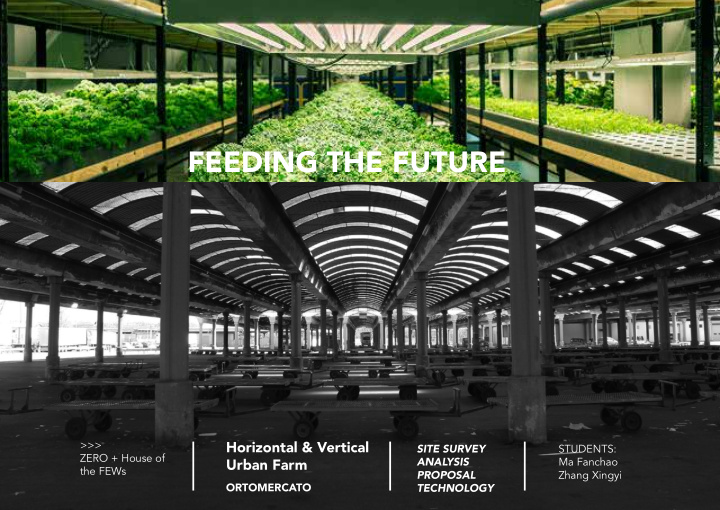 feeding the future