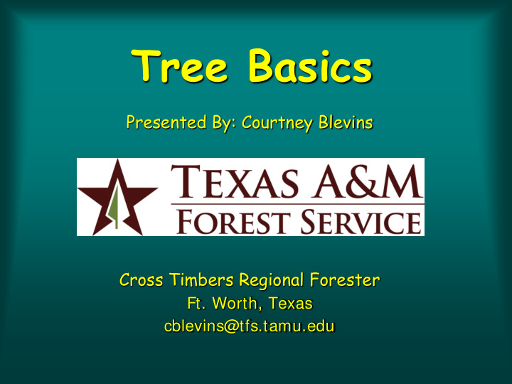 tree basics