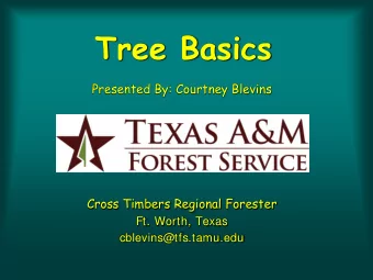 Tree Basics  Presented By: Courtney Blevins  Cross Timbers Regional Forester  Ft. Worth, Texas