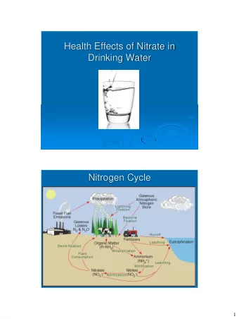 Health Effects of Nitrate in  Drinking Water  Nitrogen Cycle  1  Possible Health Risks by Level of
