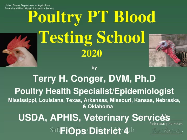 poultry pt blood testing school