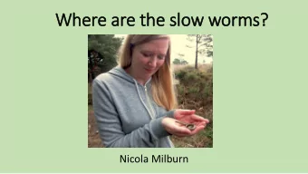 Where are the slow worms?  Nicola Milburn  What is a slow worm?  (Anguis fragilis)  Photo by