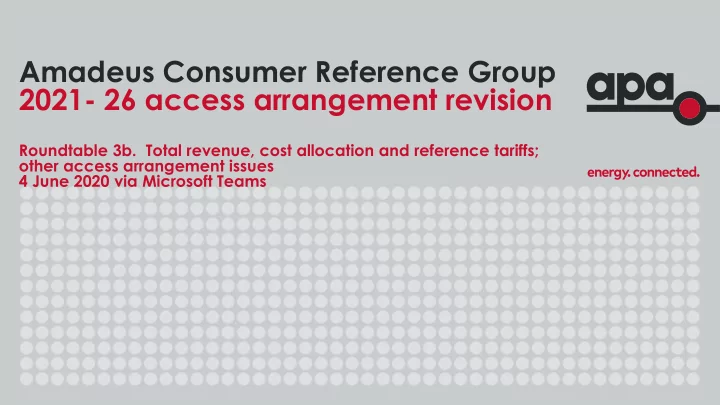 amadeus consumer reference group 2021 26 access