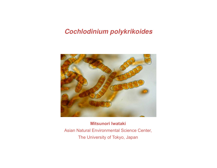 cochlodinium polykrikoides