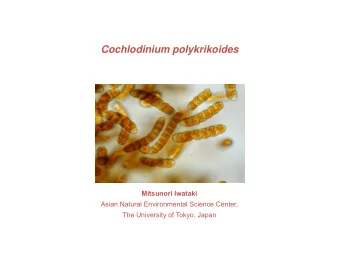 Cochlodinium polykrikoides  Mitsunori Iwataki  Asian Natural Environmental Science Center,  The