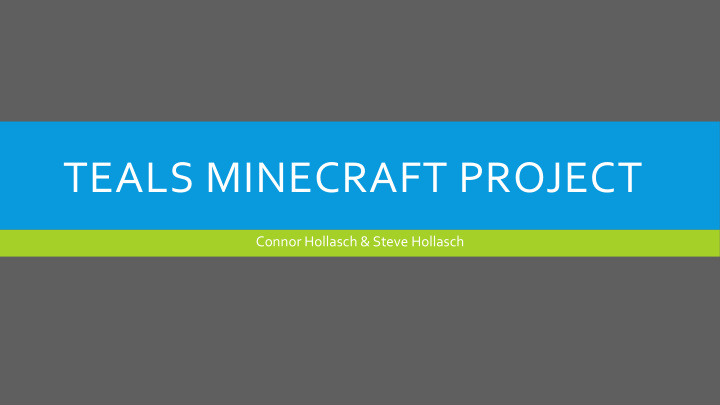teals minecraft project